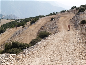 Llogarë průsmyk (1027m)